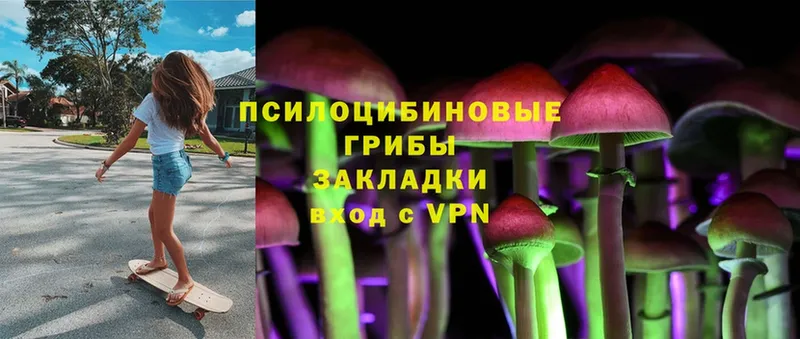 Псилоцибиновые грибы Magic Shrooms  Звенигород 